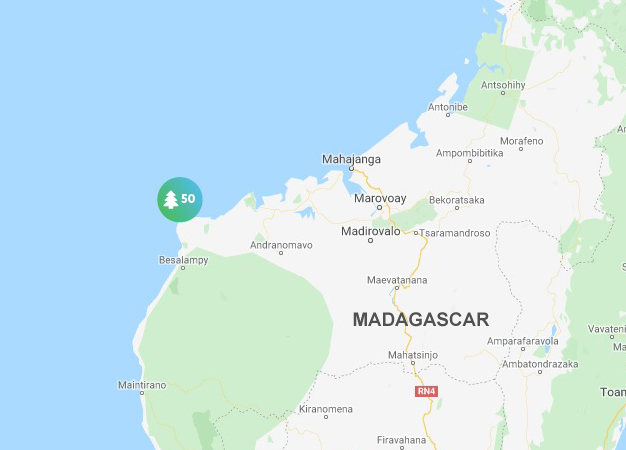 location of trees in Madagascar